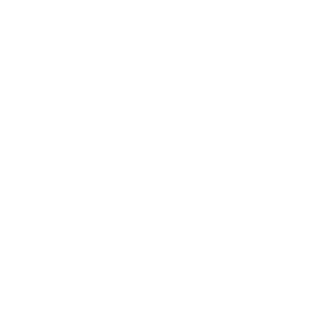 Business Strategy
