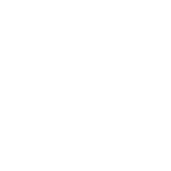 Non-Executive Director